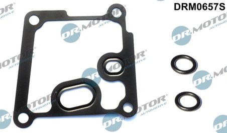 SET GARNITURI RADIATOR ULEI DR.MOTOR AUTOMOTIVE DRM0657S - Compatibil cu FORD, MAZDA