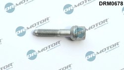 SURUB, SUPORT INJECTOR DR.MOTOR AUTOMOTIVE DRM0678 - Compatibil cu FORD