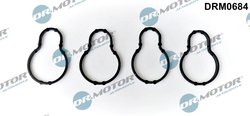 Garnitura galerie admisie Dr.Motor Automotive DRM0684