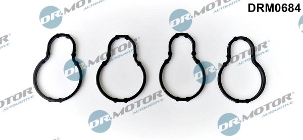 GARNITURA GALERIE ADMISIE DR.MOTOR AUTOMOTIVE DRM0684 - Compatibil cu BMW
