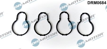 GARNITURA GALERIE ADMISIE DR.MOTOR AUTOMOTIVE DRM0684 - Compatibil cu BMW