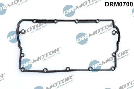 GARNITURA CAPAC CULBUTORI DR.MOTOR AUTOMOTIVE DRM0700 - Compatibil cu AUDI, FORD, SEAT, SKODA, VW