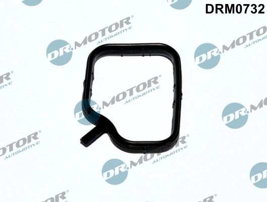 GARNITURA,TEAVA LICHI DE RACIRE DR.MOTOR AUTOMOTIVE DRM0732 - Compatibil cu BMW, MINI, TOYOTA