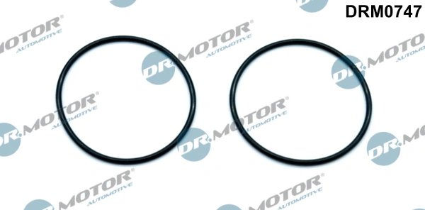 Garnitura, pompa vacuum Dr.Motor Automotive DRM0747