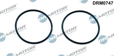 Garnitura, pompa vacuum Dr.Motor Automotive DRM0747