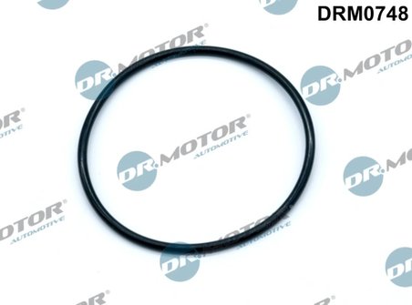 Garnitura, pompa vacuum Dr.Motor Automotive DRM0748