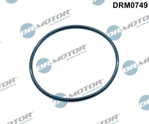 Garnitura ventil AGR Dr.Motor Automotive DRM0749