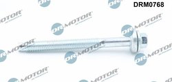 SURUB, SUPORT INJECTOR DR.MOTOR AUTOMOTIVE DRM0768 - Compatibil cu FIAT, FORD, NISSAN, OPEL, RENAULT, VAUXHALL