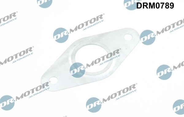 Garnitura, conducta supapa-AGR Dr.Motor Automotive DRM0789
