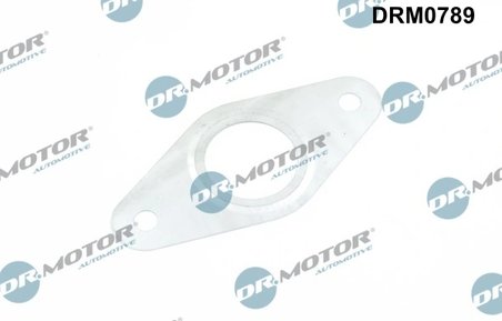 Garnitura, conducta supapa-AGR Dr.Motor Automotive DRM0789