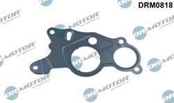 Garnitura, pompa vacuum Dr.Motor Automotive DRM0818