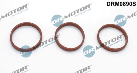 Set garnituri galerie admisie Dr.Motor Automotive DRM0890S