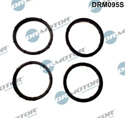 Set garnituri galerie admisie Dr.Motor Automotive DRM095S