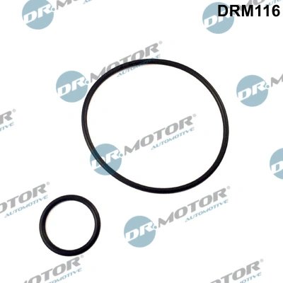 SET GARNITURI GALERIE ADMISIE DR.MOTOR AUTOMOTIVE DRM116 - Compatibil cu CITROEN, FIAT, PEUGEOT