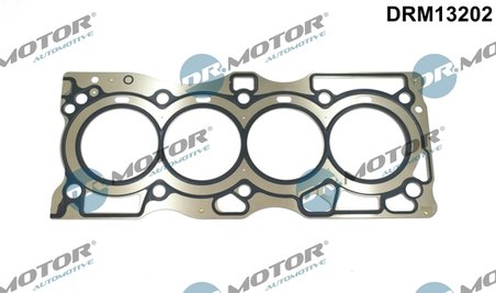 Garnitura chiuloasa Dr.Motor Automotive DRM13202