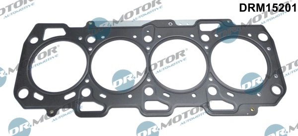 Garnitura chiuloasa Dr.Motor Automotive DRM15201