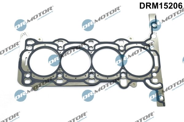 Garnitura chiuloasa Dr.Motor Automotive DRM15206