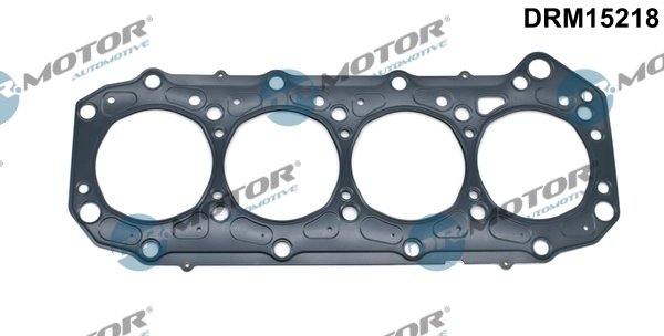 Garnitura chiuloasa Dr.Motor Automotive DRM15218