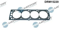 Garnitura chiuloasa Dr.Motor Automotive DRM15220