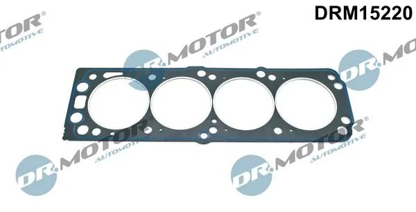 Garnitura chiuloasa Dr.Motor Automotive DRM15220