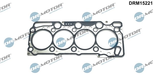 Garnitura chiuloasa Dr.Motor Automotive DRM15221