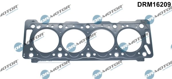 Garnitura chiuloasa Dr.Motor Automotive DRM16209
