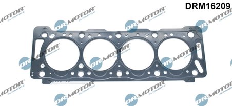Garnitura chiuloasa Dr.Motor Automotive DRM16209