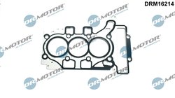 Garnitura chiuloasa Dr.Motor Automotive DRM16214
