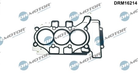 Garnitura chiuloasa Dr.Motor Automotive DRM16214