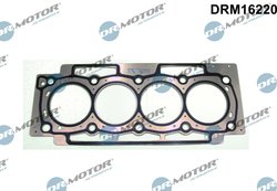 Garnitura chiuloasa Dr.Motor Automotive DRM16220