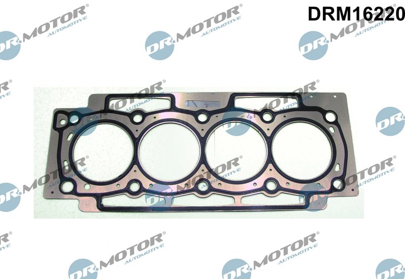 Garnitura chiuloasa Dr.Motor Automotive DRM16220