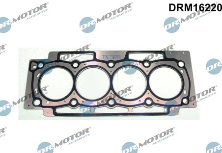 Garnitura chiuloasa Dr.Motor Automotive DRM16220