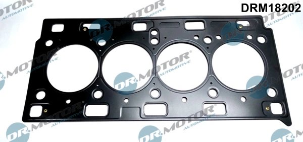 Garnitura chiuloasa Dr.Motor Automotive DRM18202