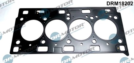 Garnitura chiuloasa Dr.Motor Automotive DRM18202