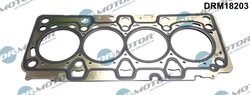 Garnitura chiuloasa Dr.Motor Automotive DRM18203