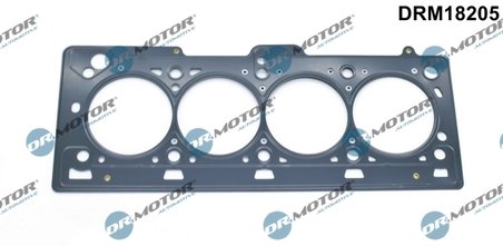 Garnitura chiuloasa Dr.Motor Automotive DRM18205