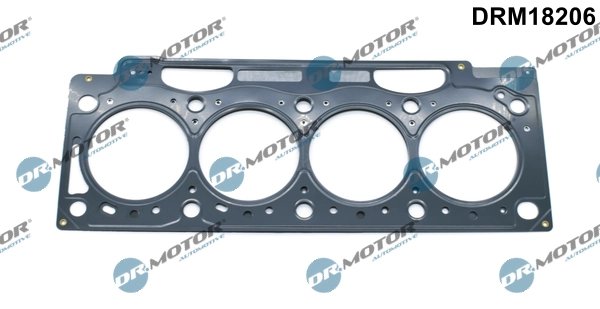 Garnitura chiuloasa Dr.Motor Automotive DRM18206