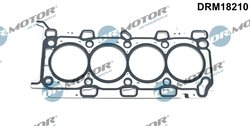 Garnitura chiuloasa Dr.Motor Automotive DRM18210
