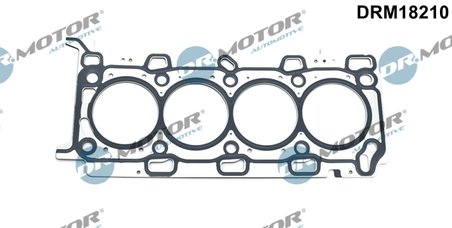 Garnitura chiuloasa Dr.Motor Automotive DRM18210
