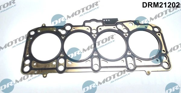 Garnitura chiuloasa Dr.Motor Automotive DRM21202
