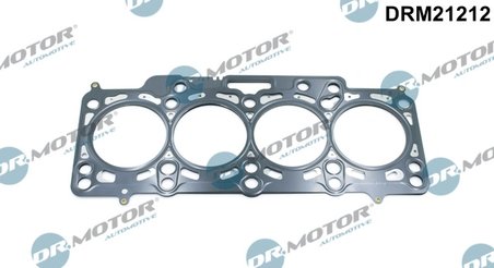 Garnitura chiuloasa Dr.Motor Automotive DRM21212