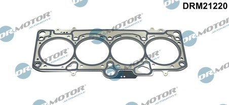 Garnitura chiuloasa Dr.Motor Automotive DRM21220