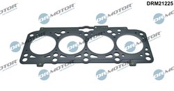 Garnitura chiuloasa Dr.Motor Automotive DRM21225