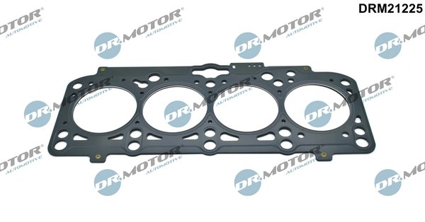 Garnitura chiuloasa Dr.Motor Automotive DRM21225