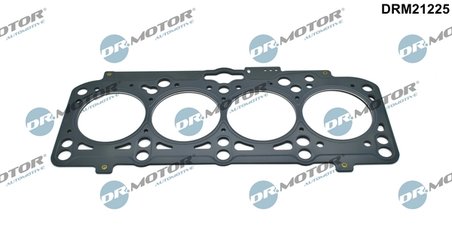 Garnitura chiuloasa Dr.Motor Automotive DRM21225