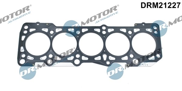 Garnitura chiuloasa Dr.Motor Automotive DRM21227