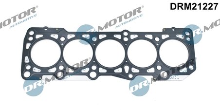 Garnitura chiuloasa Dr.Motor Automotive DRM21227