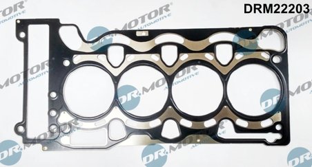 Garnitura chiuloasa Dr.Motor Automotive DRM22203