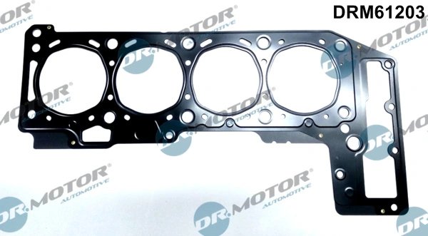 Garnitura chiuloasa Dr.Motor Automotive DRM61203