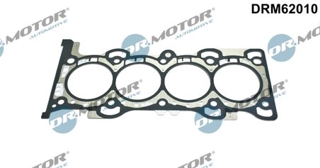 Garnitura chiuloasa Dr.Motor Automotive DRM62010